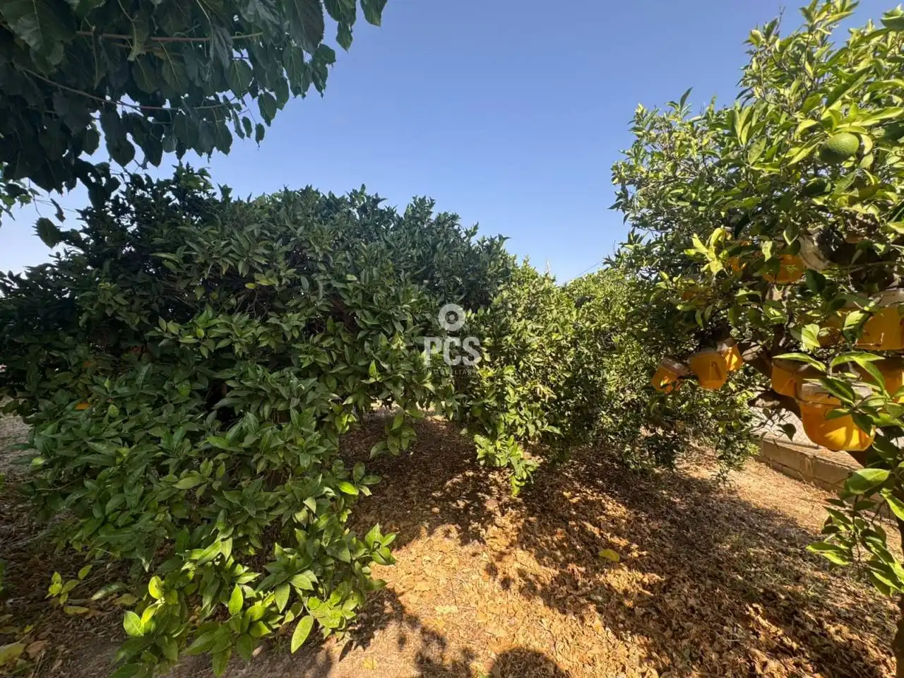 Xalet amb piscina en venda a Avenida Alrededores de Alhama S/N, imagen 27