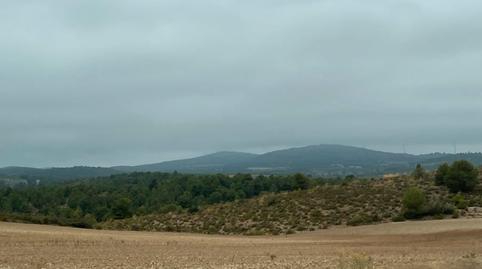 Photo 3 of Land for sale in Peñas de San Pedro, Albacete