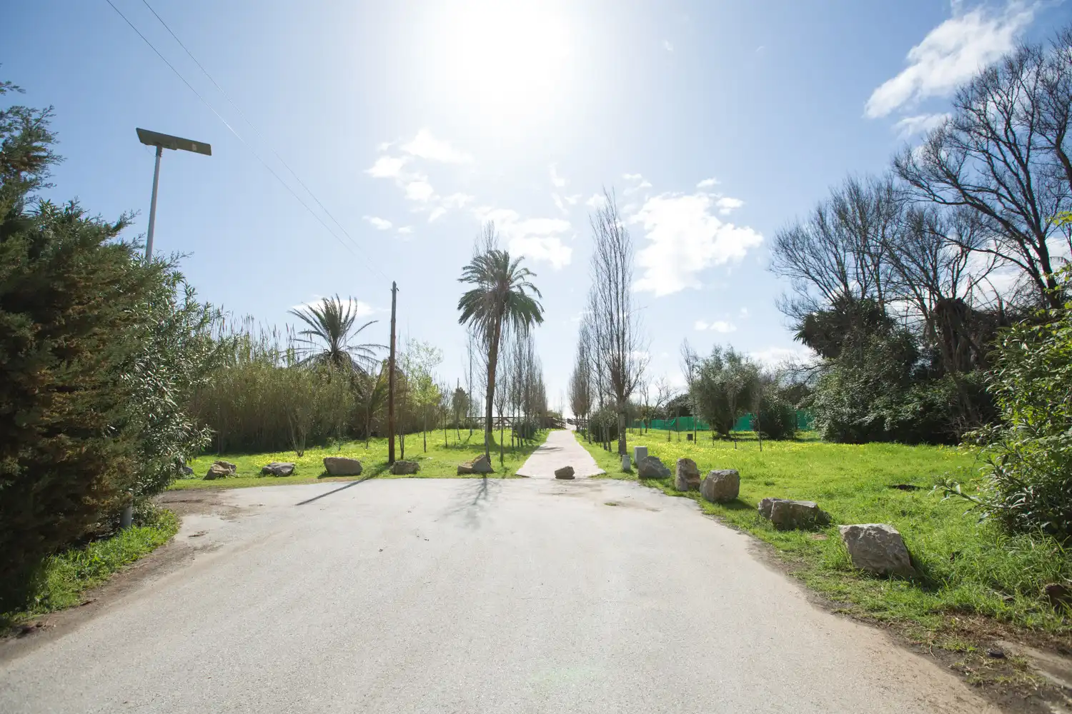 Casa con jardín en venta en Benamara - Atalaya, imagen 15