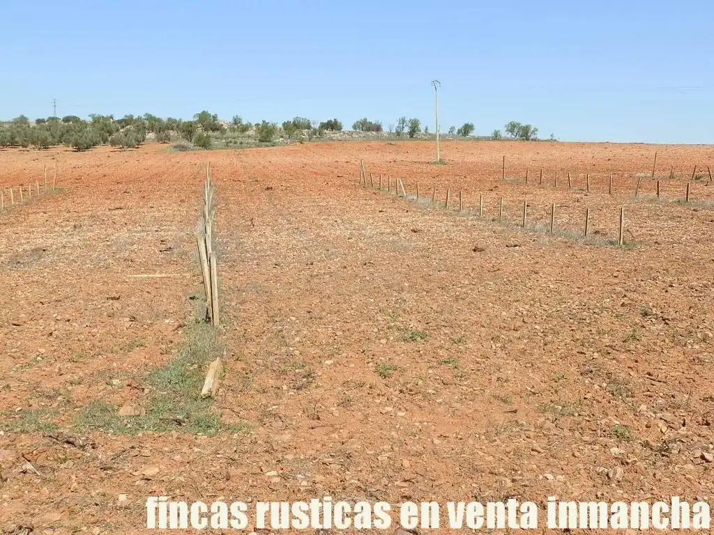 Rural land for sale in Valdepeñas, imagen 22