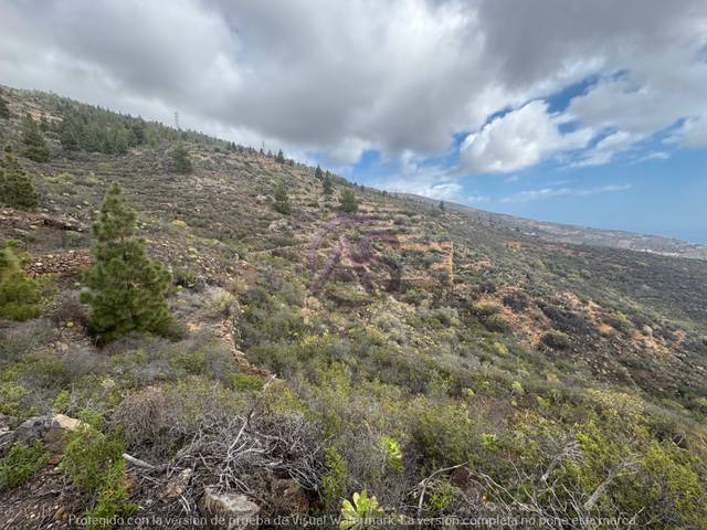 Terreno en Venta en El Escobonal - Pájara
