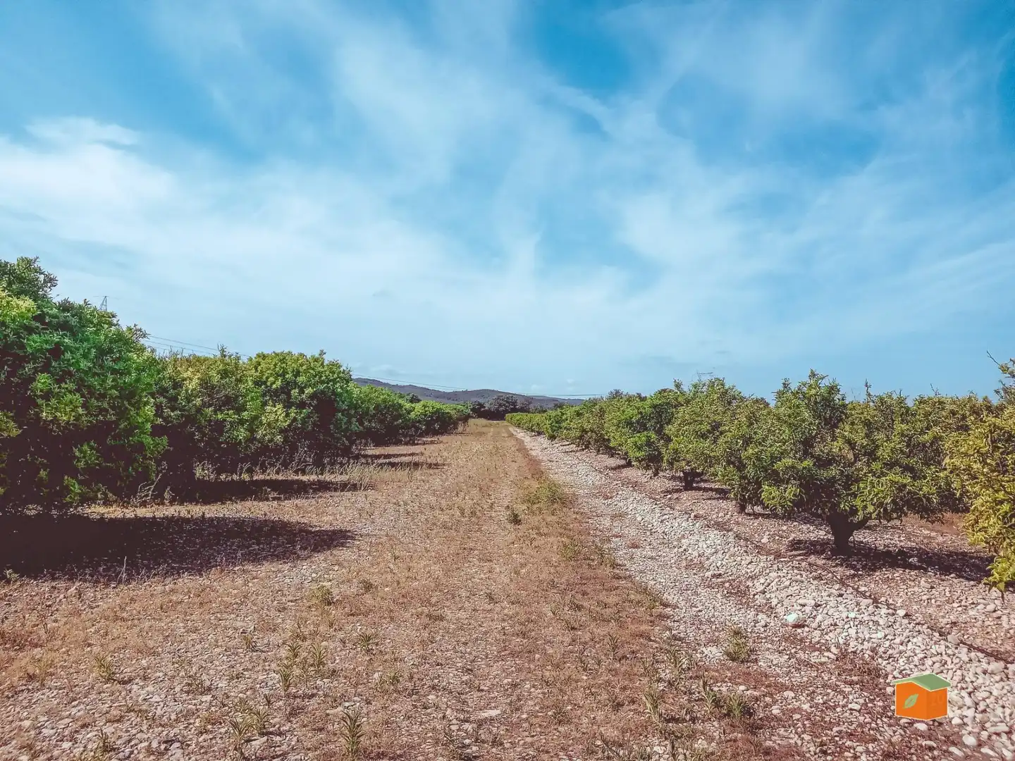Terreno rustico in vendita a Santa Bàrbara, imagen 2