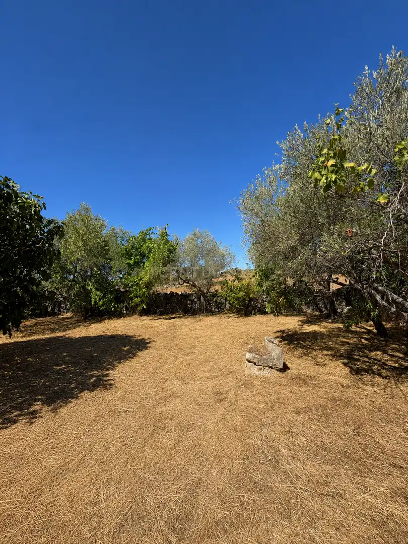 House with garden for sale in Trujillo, imagen 44