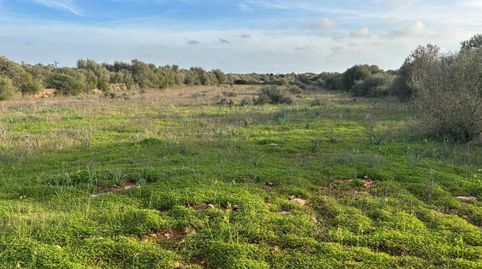 Foto 4 de Residencial en venta en Ses Salines Poble, Ses Salines