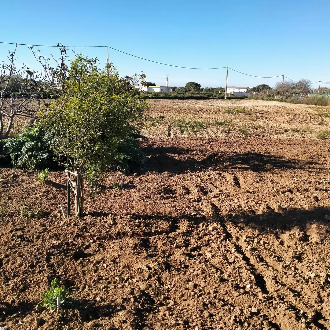 Lands and plots for sale in Los Franceses – La Vega, imagen 12