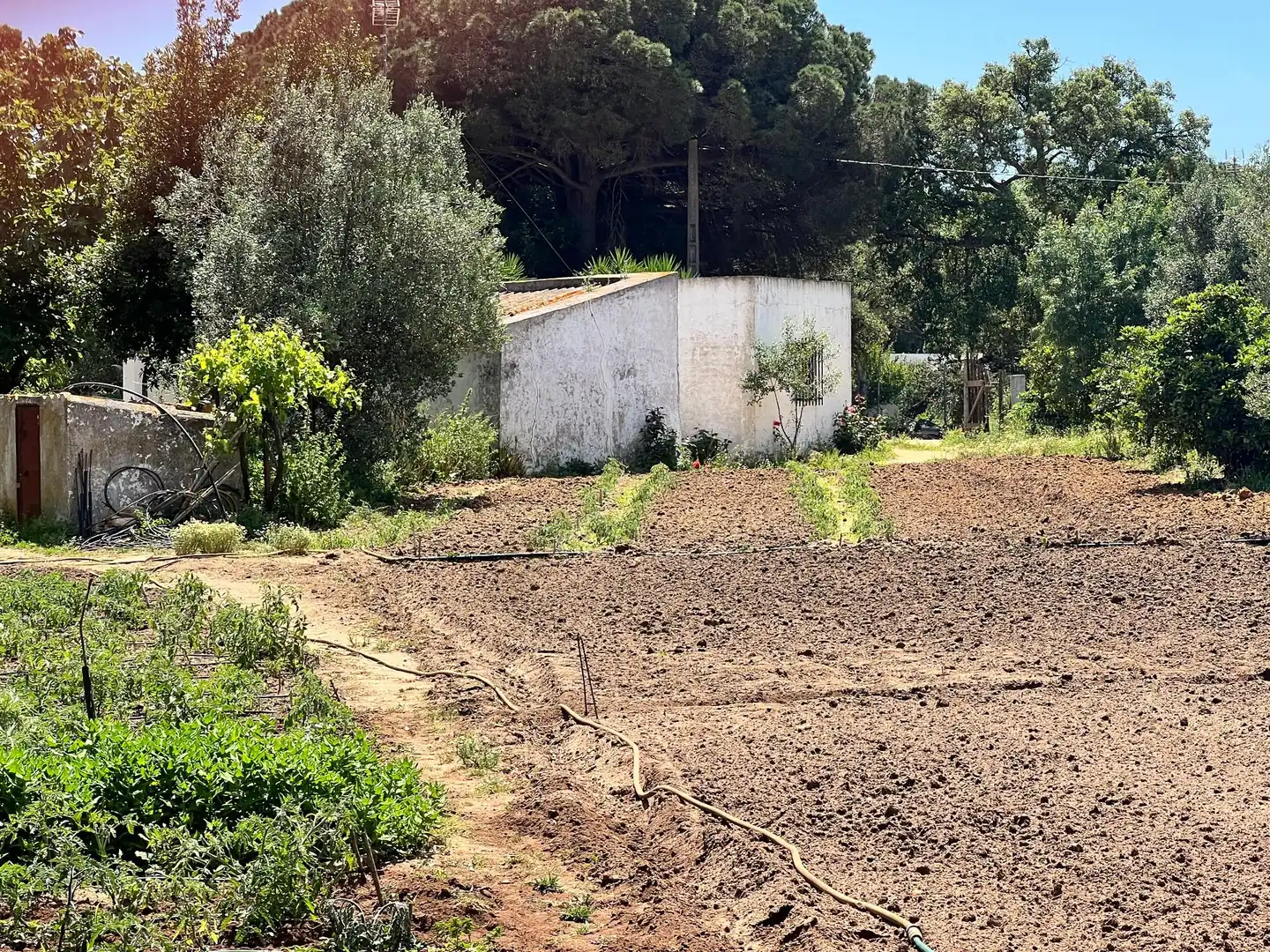 Casa rústica en venda a Vejer, imagen 12
