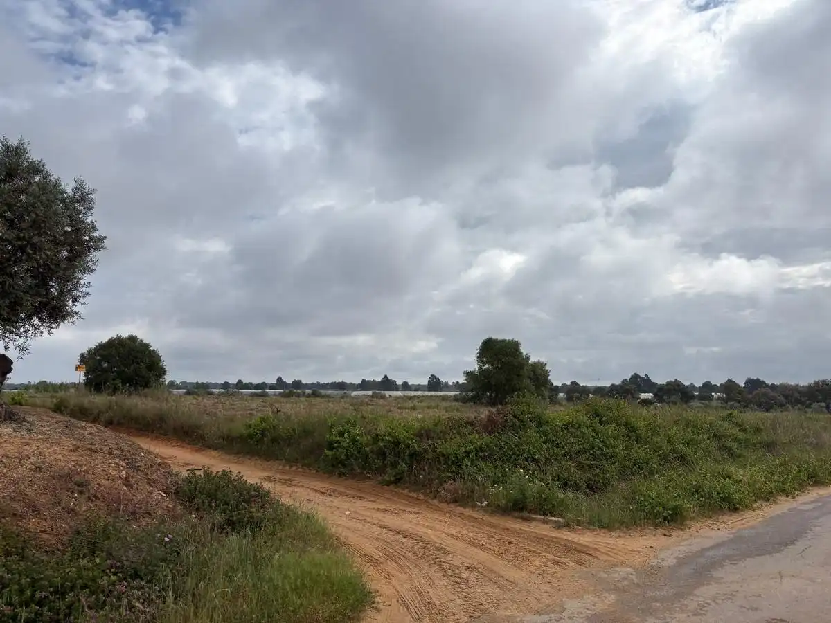 Terreno rustico in vendita a Almonte ciudad, imagen 2