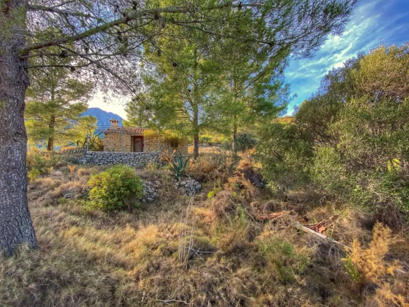 Terrenys i solars en venda a Xaló, imagen 15