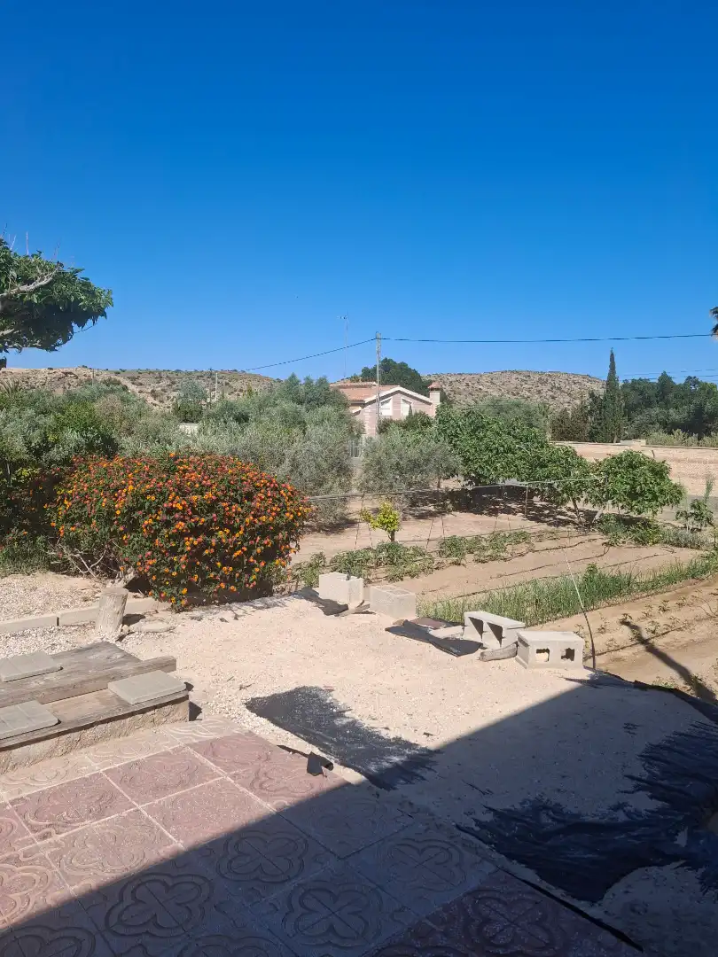Garten von Haus oder Chalet zum Verkauf in Elche / Elx