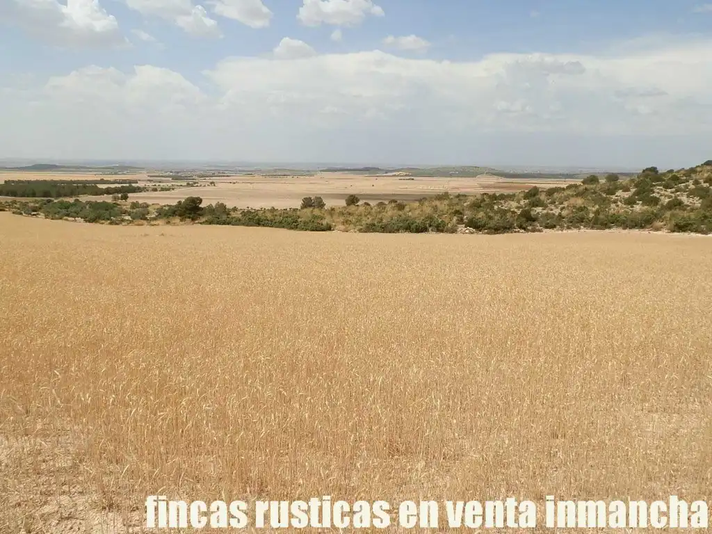 Rural land for sale in Chinchilla de Monte-Aragón, imagen 12