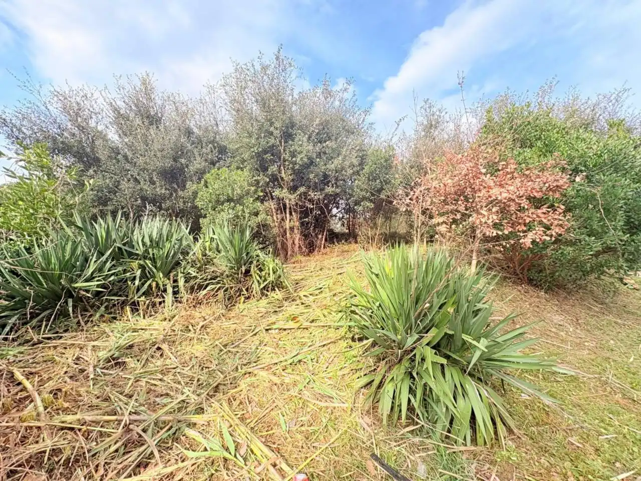 Residential for sale in Caldes de Malavella