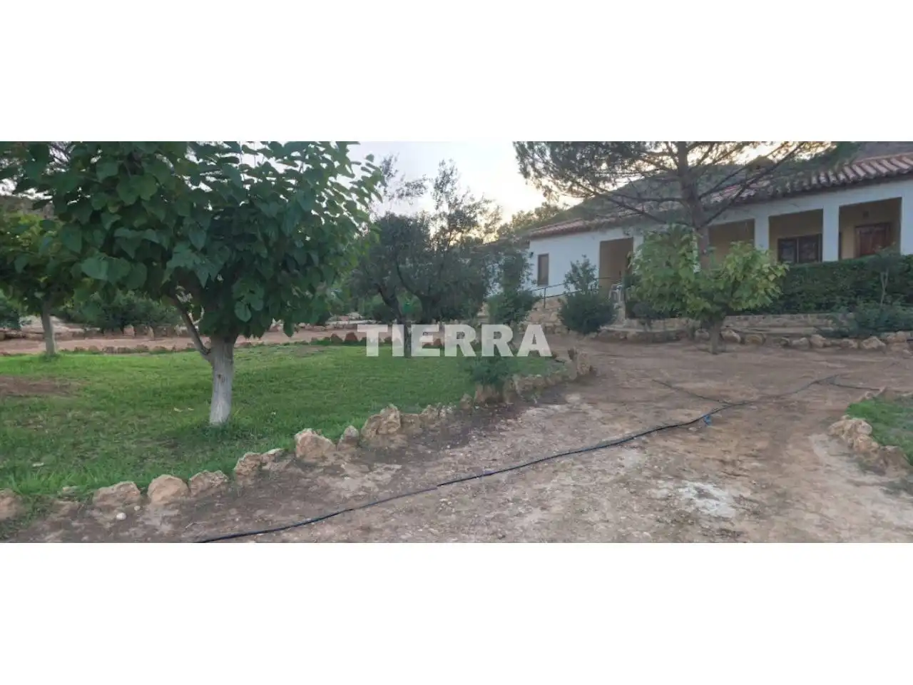 Buildings for sale in Socovos