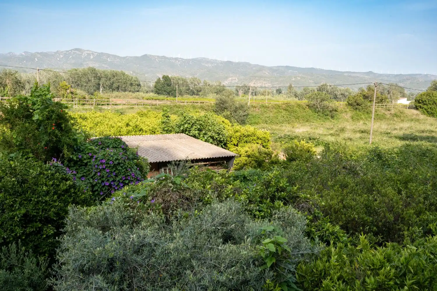 Local en venta en Aldover