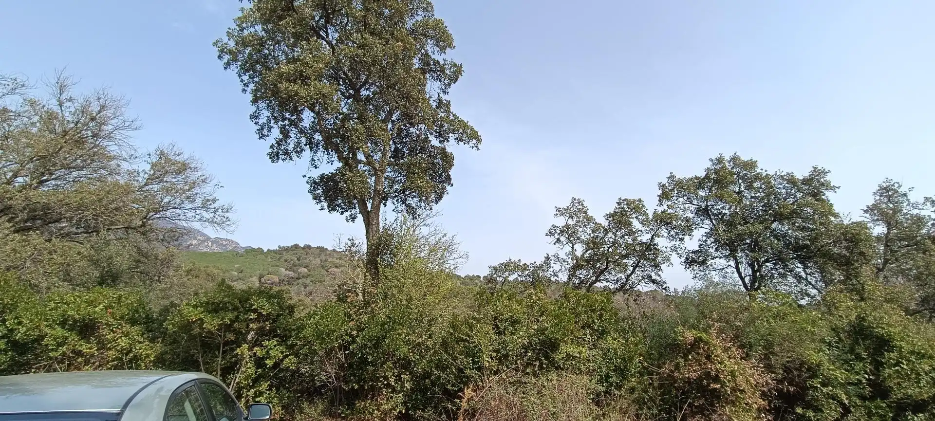 Residential for sale in Campins