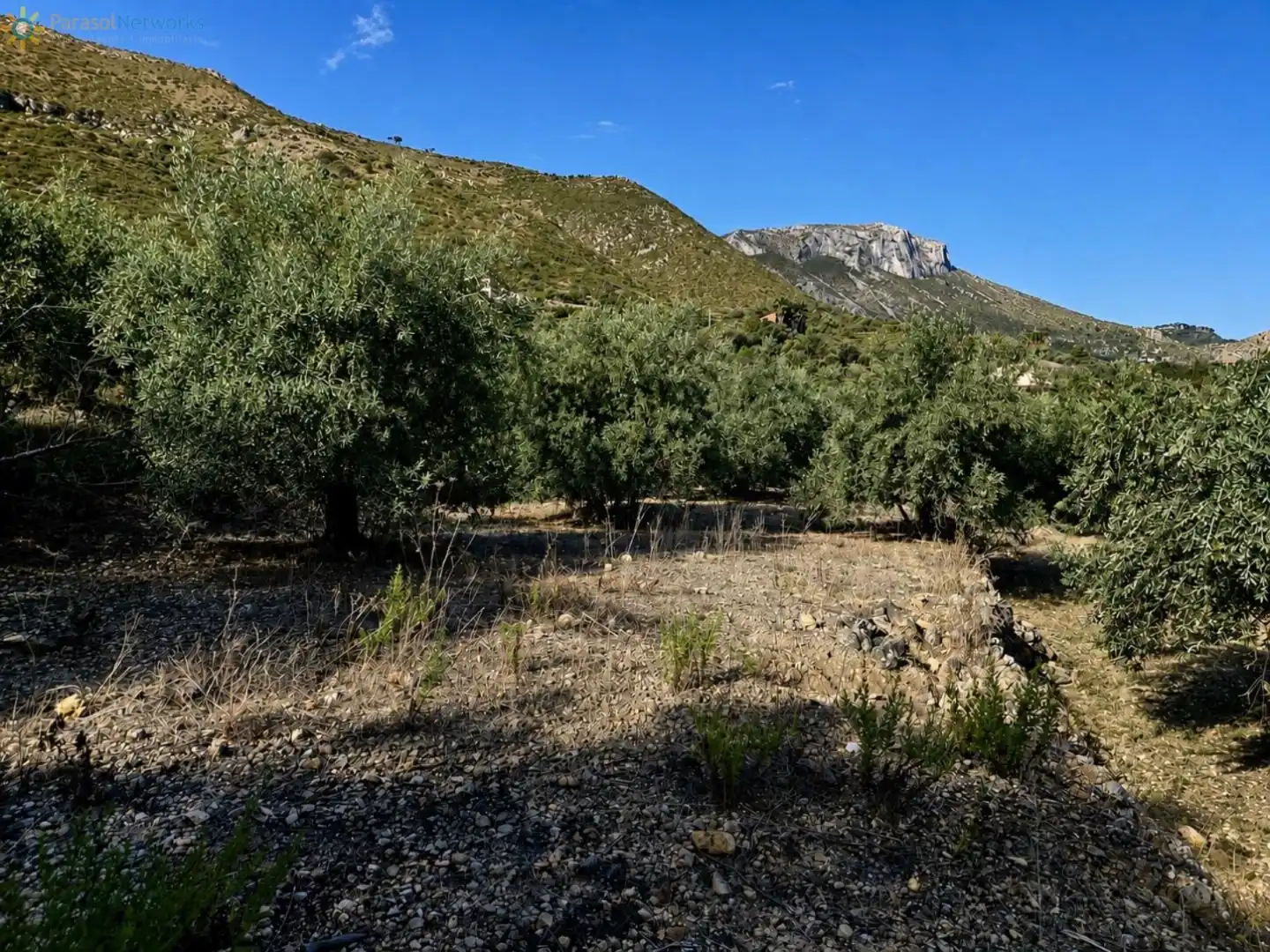 Rural land for sale in L'Atzúbia, imagen 2