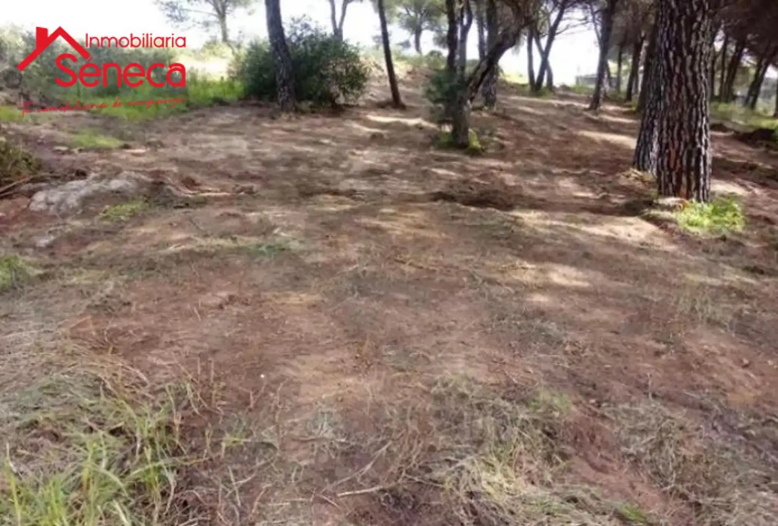 Rustikales Grundstück zum Verkauf in Periurbano Este - Campiña, imagen 2