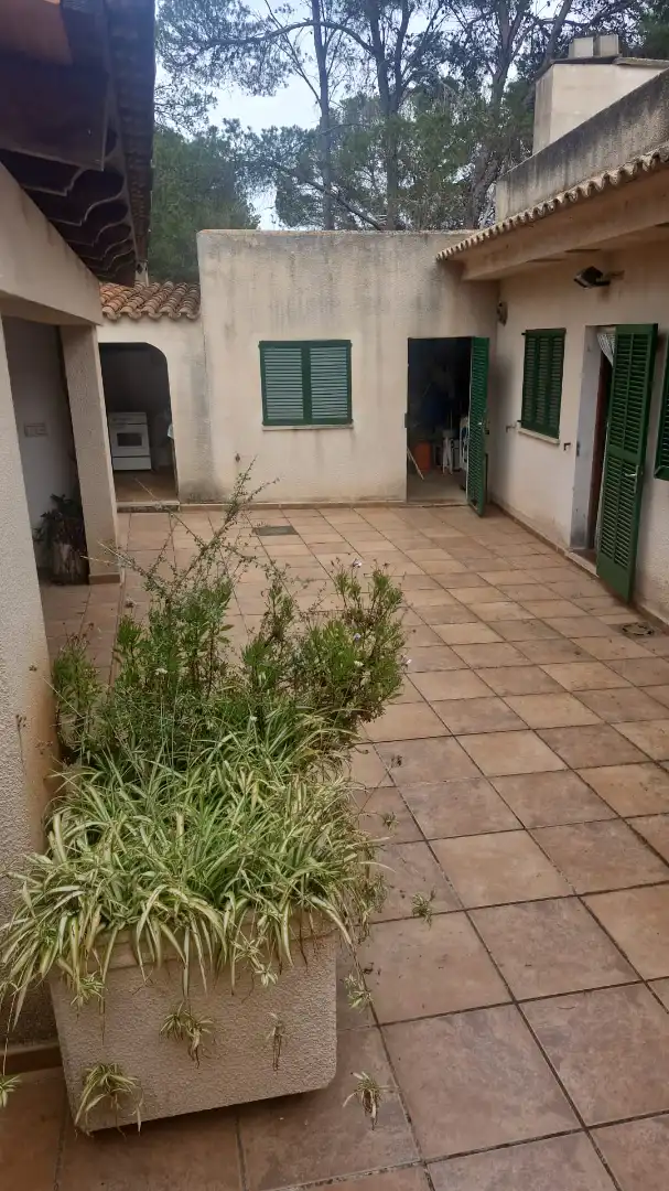 Jardí de Casa o xalet en venda en Llucmajor amb Terrassa i Traster
