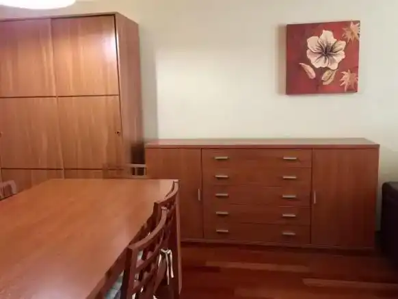 Esszimmer von Wohnung zur Miete in Aisa mit Parkett, Abstellraum und Möbliert