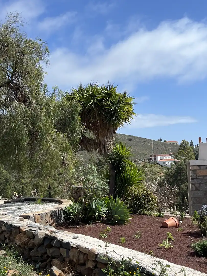 Außenansicht von Haus oder Chalet zur Miete in Adeje mit Klimaanlage, Privatgarten und Terrasse