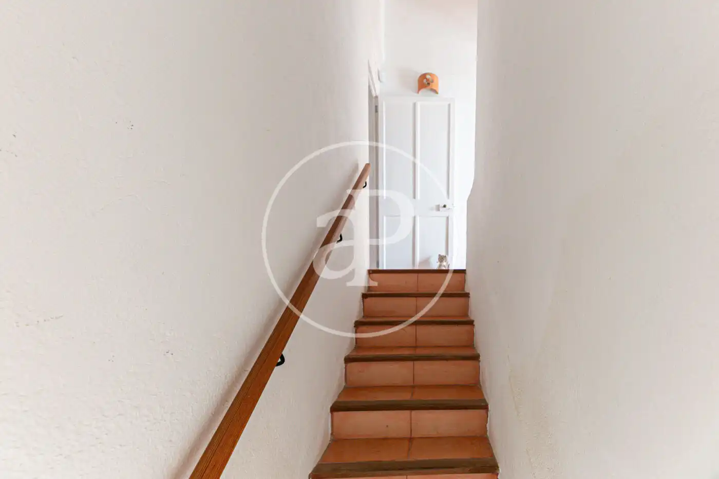 Detached homes for rent in Son Servera  with Terrace and Furnished