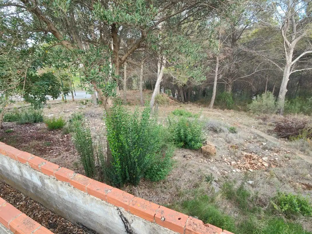 Wohnbaugrundstück zum Verkauf in Calle la Serreta miñana 39I, imagen 6