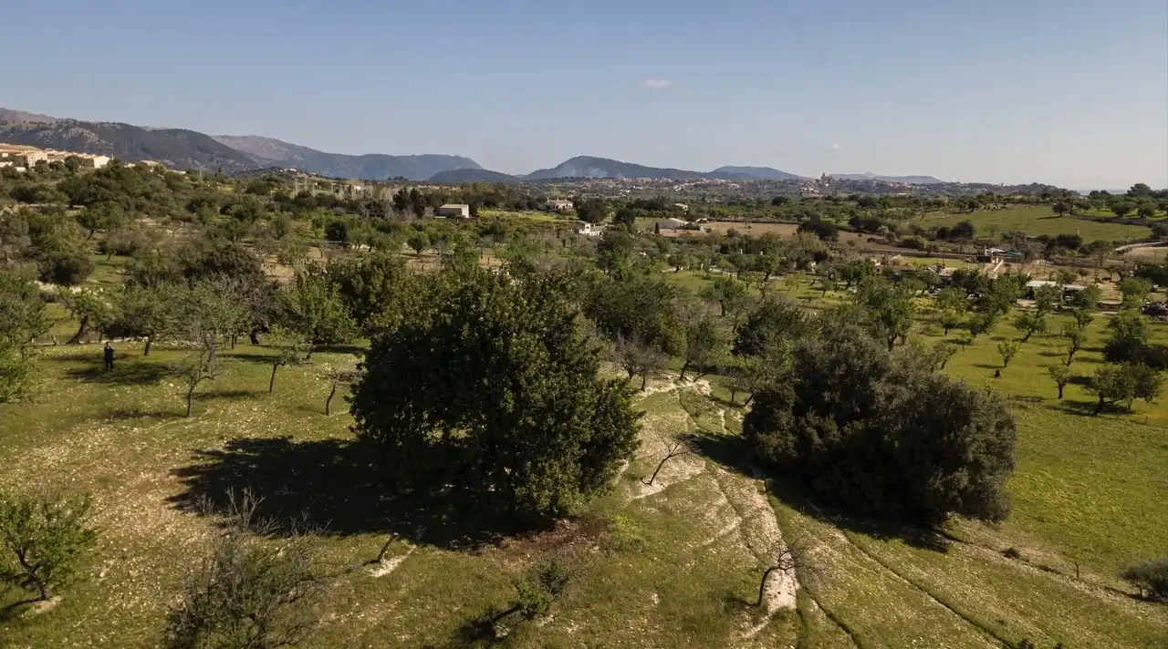 Terreni e lotti in vendita a Selva, imagen 26