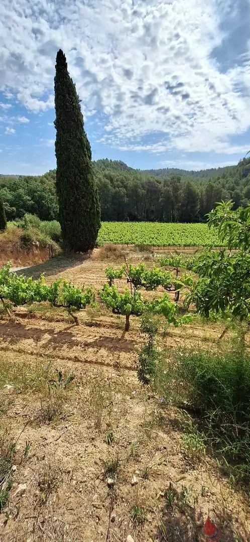 Terreni e lotti in vendita a Castellet i la Gornal, imagen 30