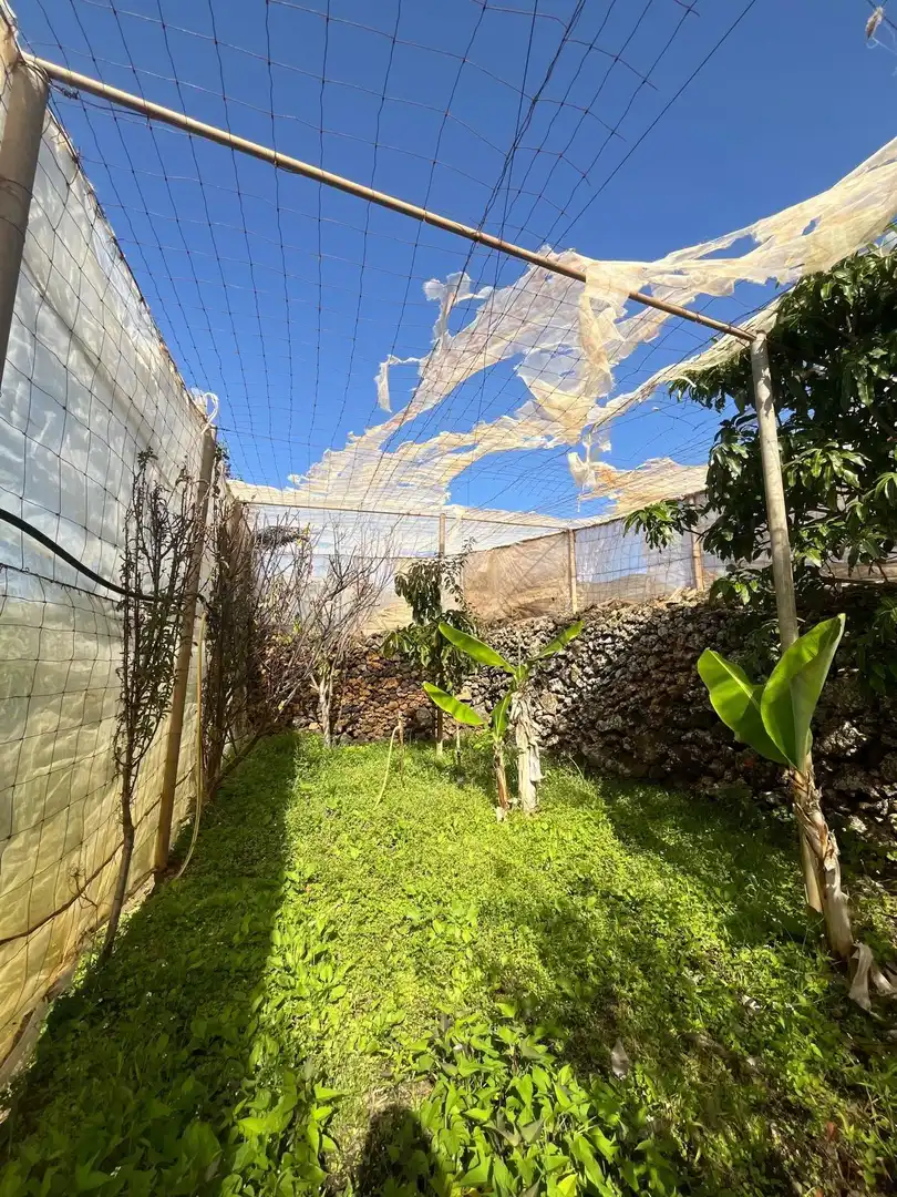 Jardín de Residencial en venta en El Pinar de El Hierro