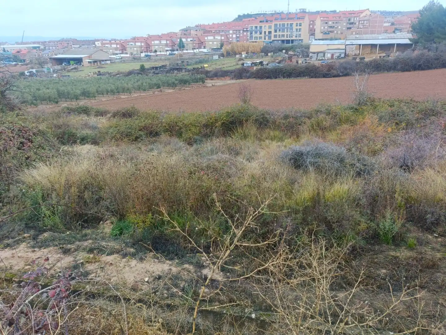 Rural land for sale in Villamediana de Iregua, imagen 4