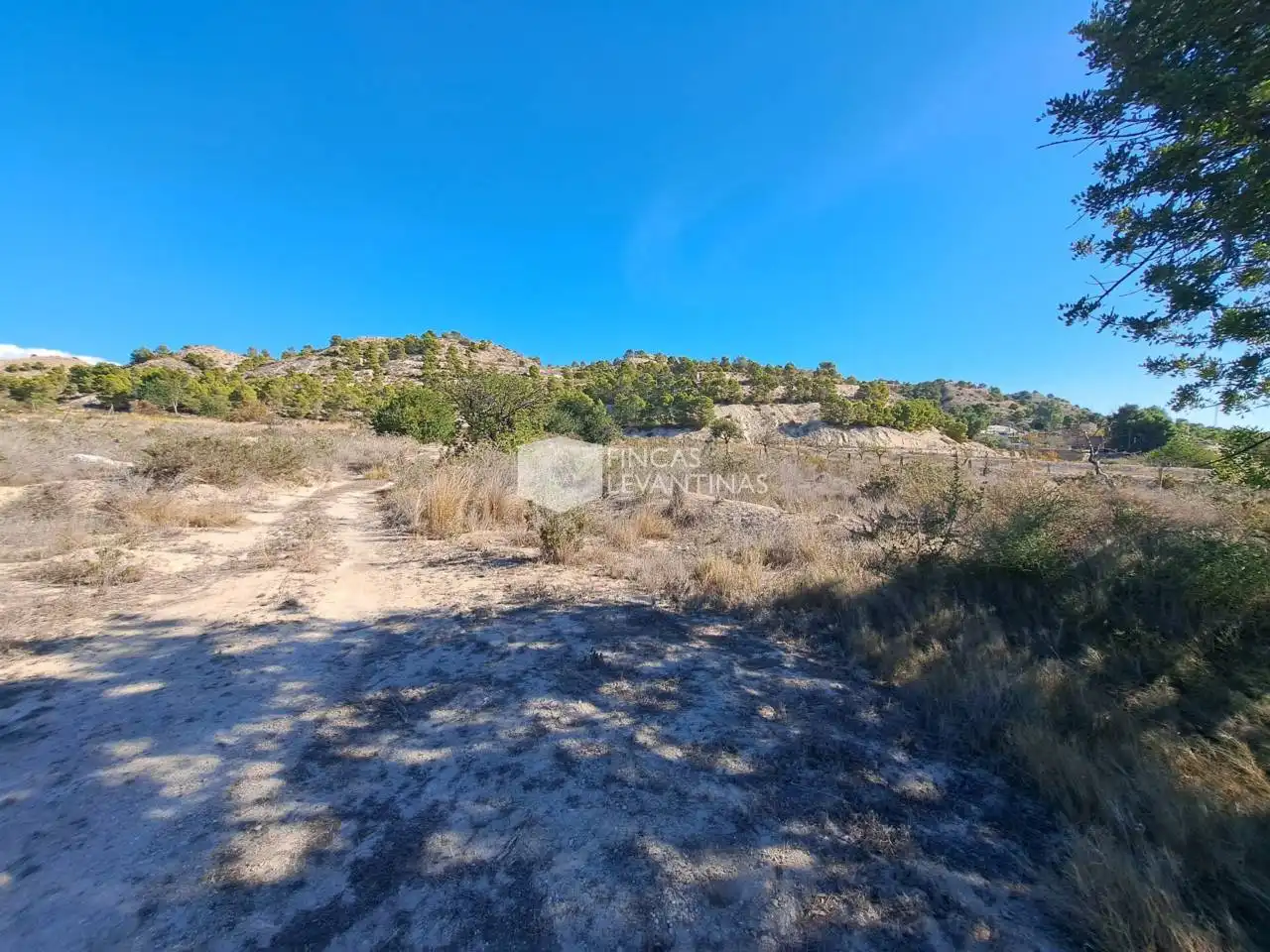 Terreny residencial en venda a Partidas de Alicante, imagen 19