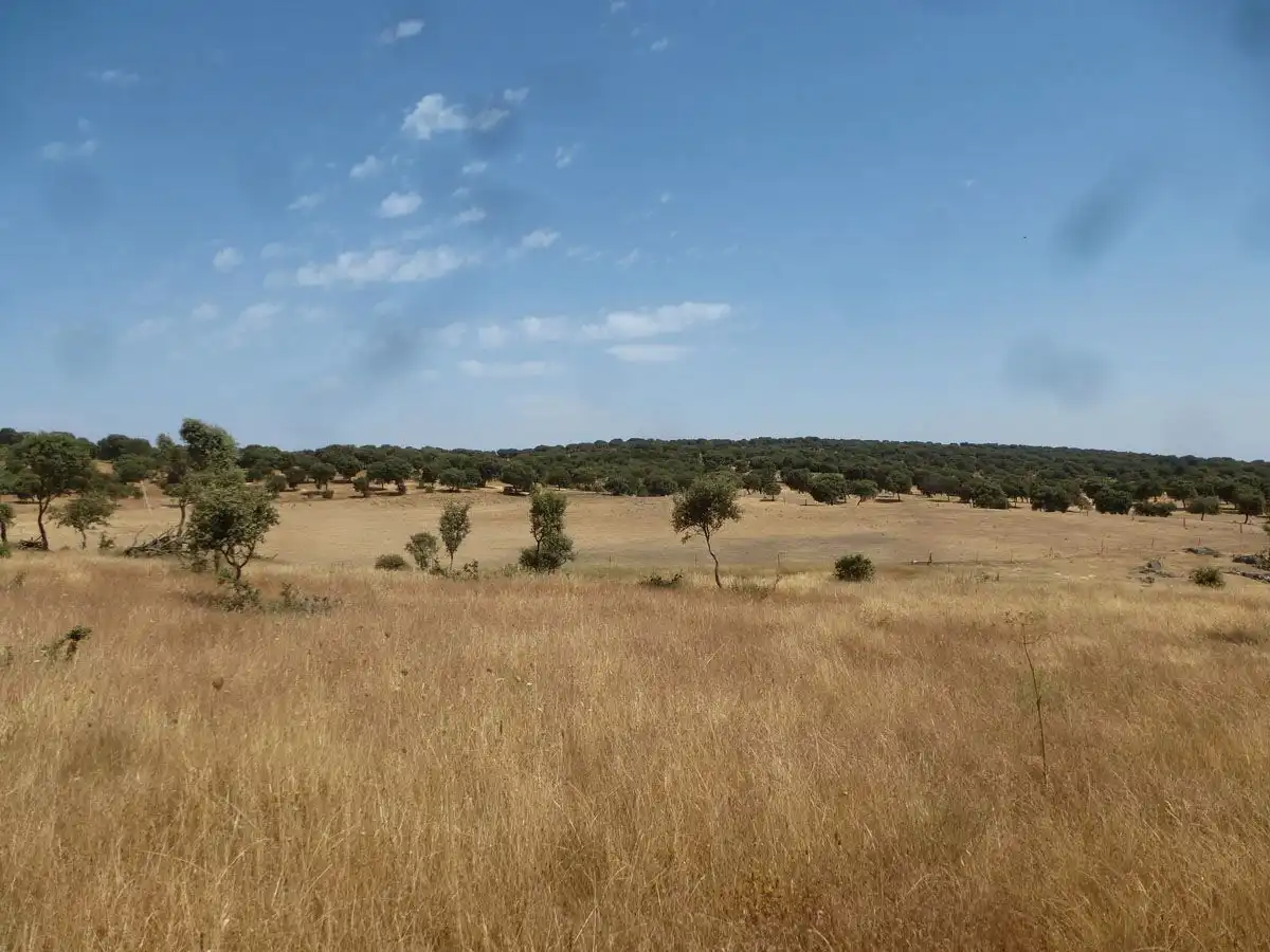 Terreni e lotti in vendita a Trujillo