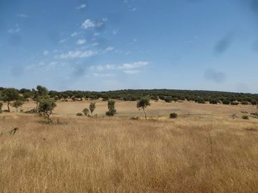 Terreno rustico in vendita a Trujillo