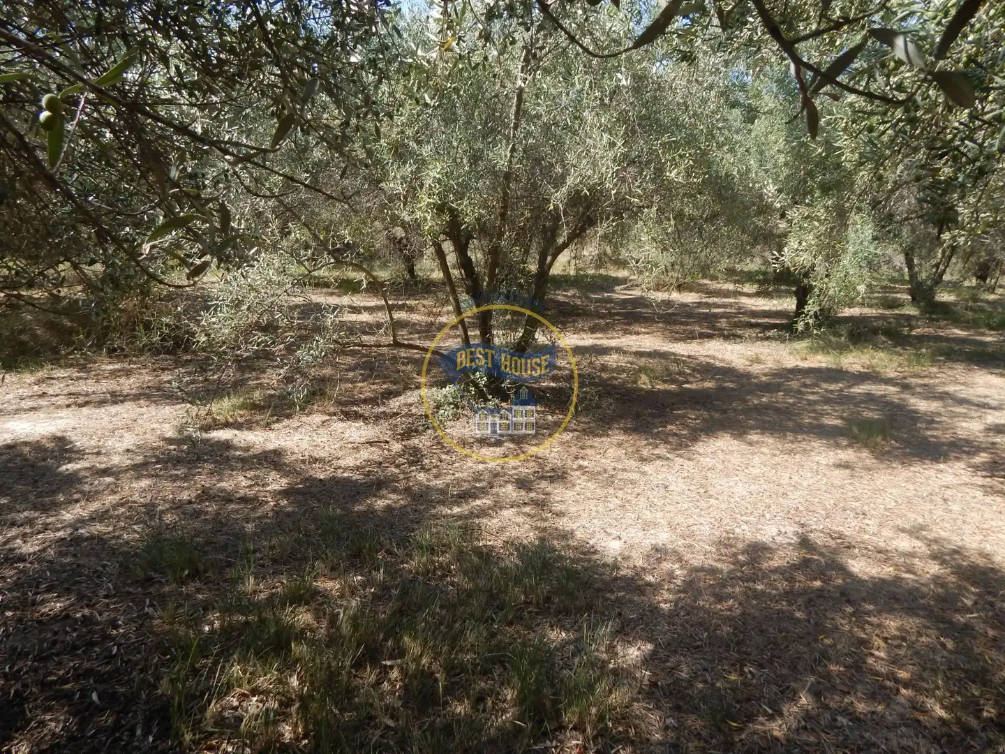 Terrain rustique à vendre à Sant Josep - Zona Hospital, imagen 16
