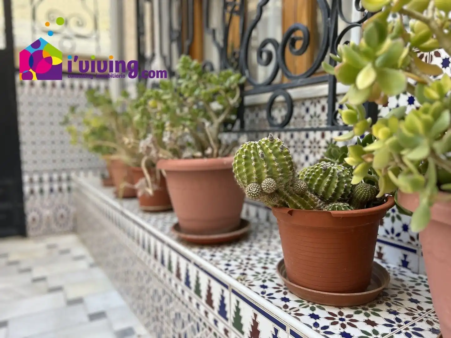 Jardín de Casa o chalet en venta en Olula del Río