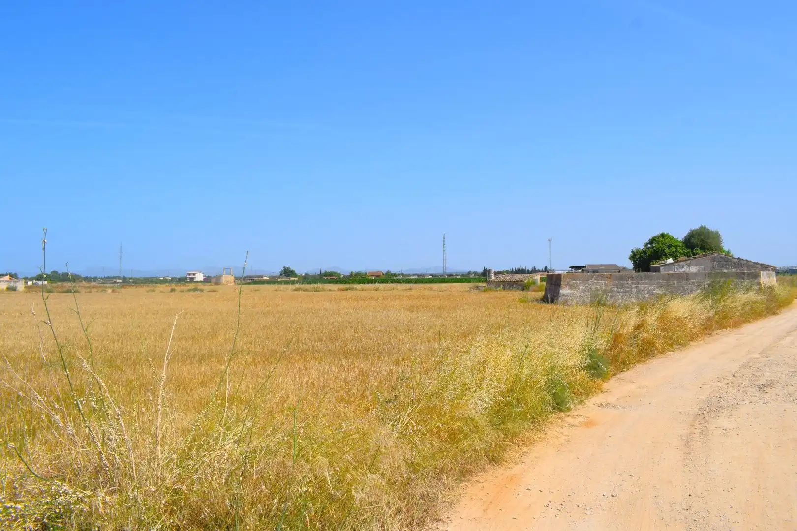 Rural land for sale in Sa Pobla, imagen 12