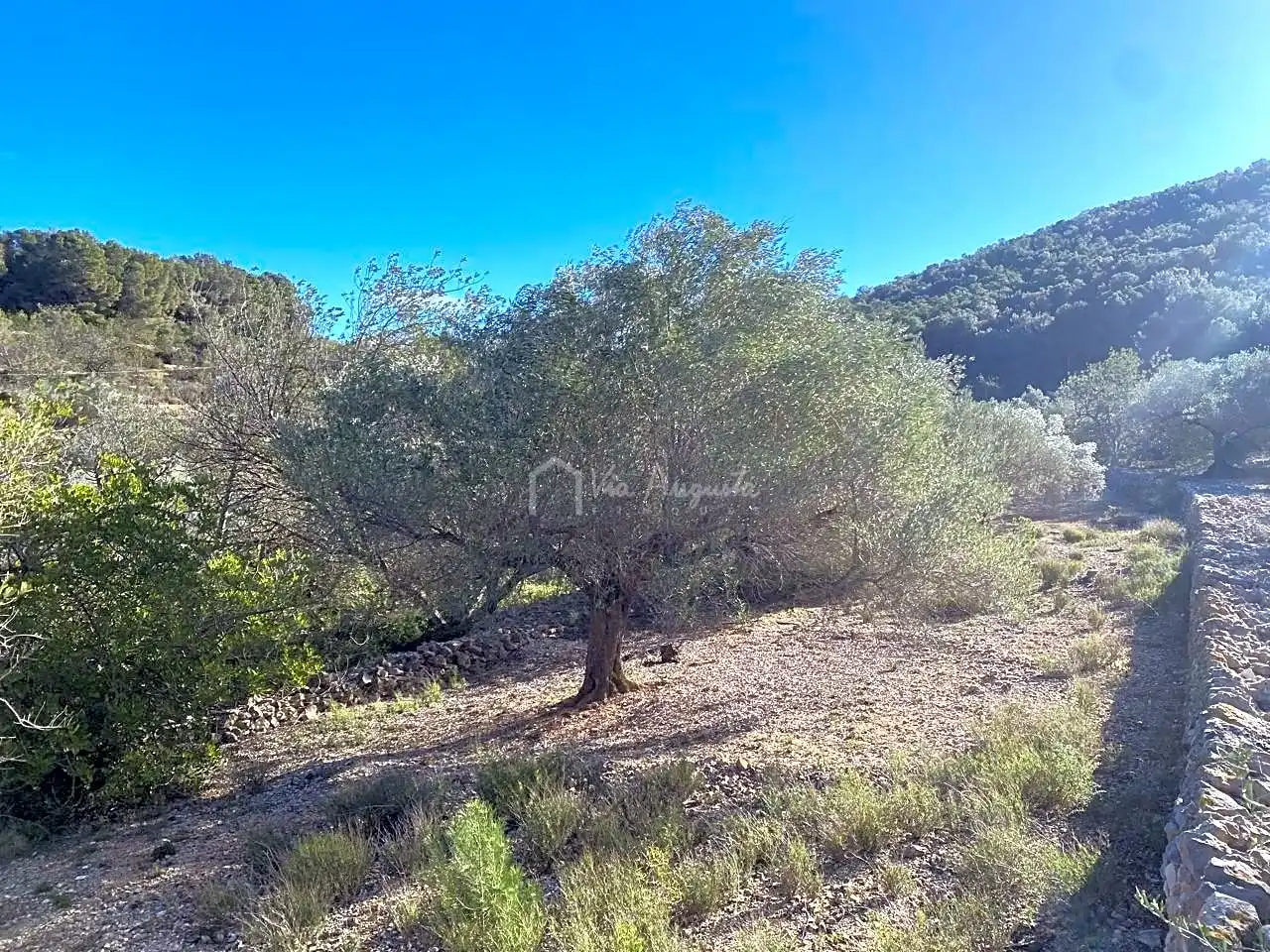 Terreno rustico in vendita a Aubachs, imagen 20