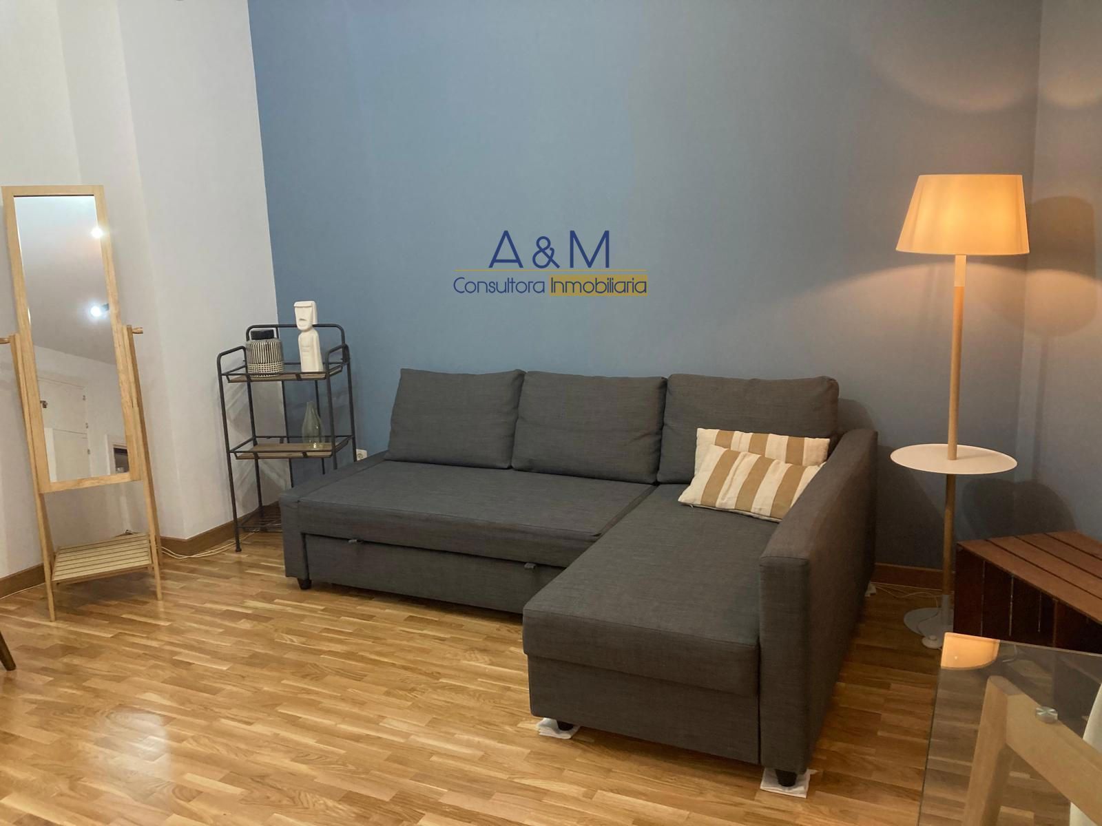 Sala de estar de Estudio de alquiler en  Madrid Capital con Calefacción y Amueblado