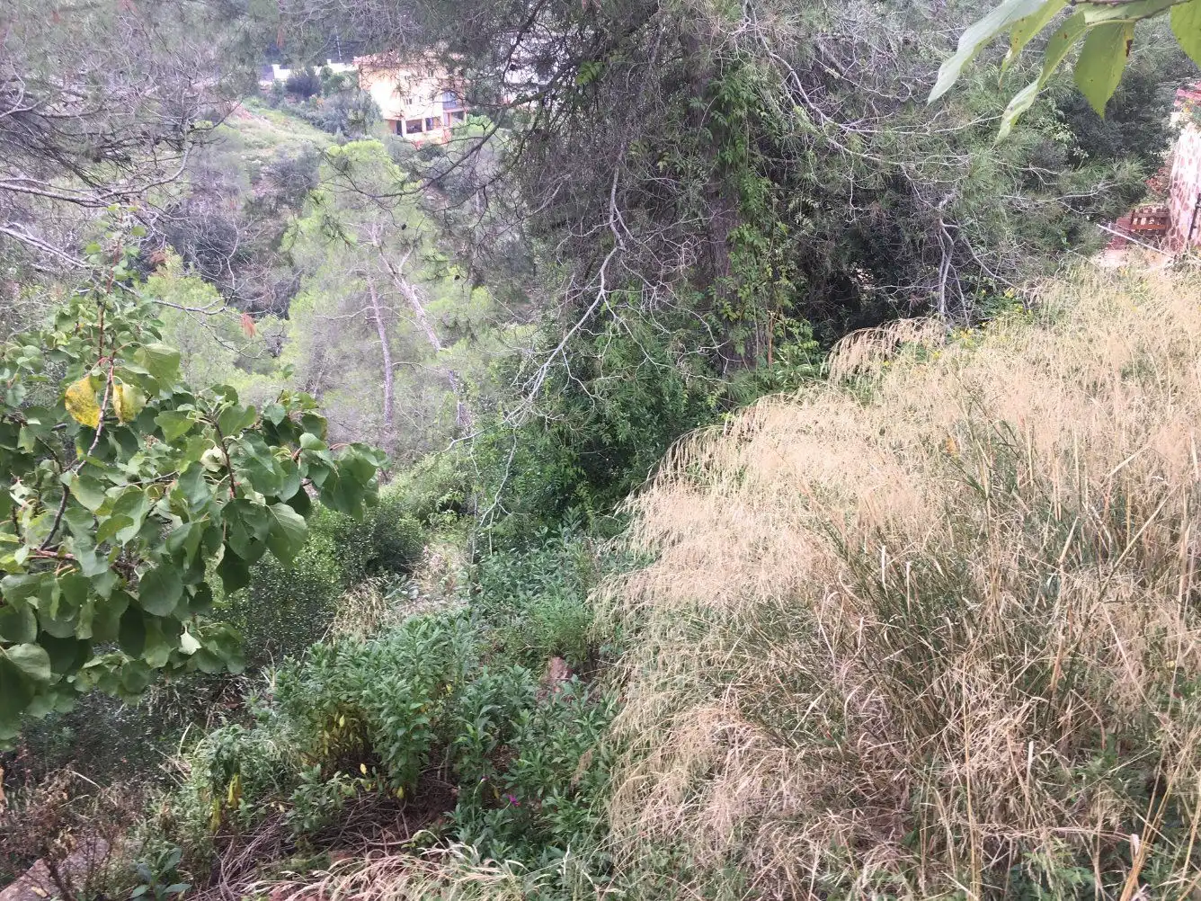Wohnbaugrundstück zum Verkauf in Corbera de Llobregat, imagen 4
