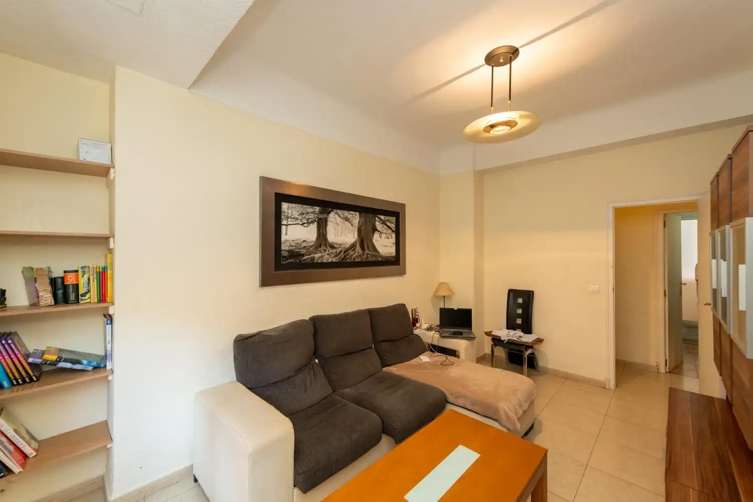 Piso con terraza en venta en Pla - Carolinas, imagen 3