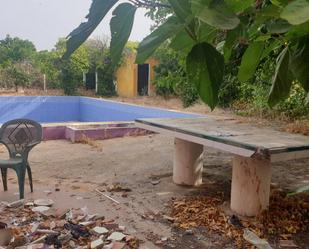 Piscina de Casa o xalet en venda en Morón de la Frontera amb Piscina comunitària