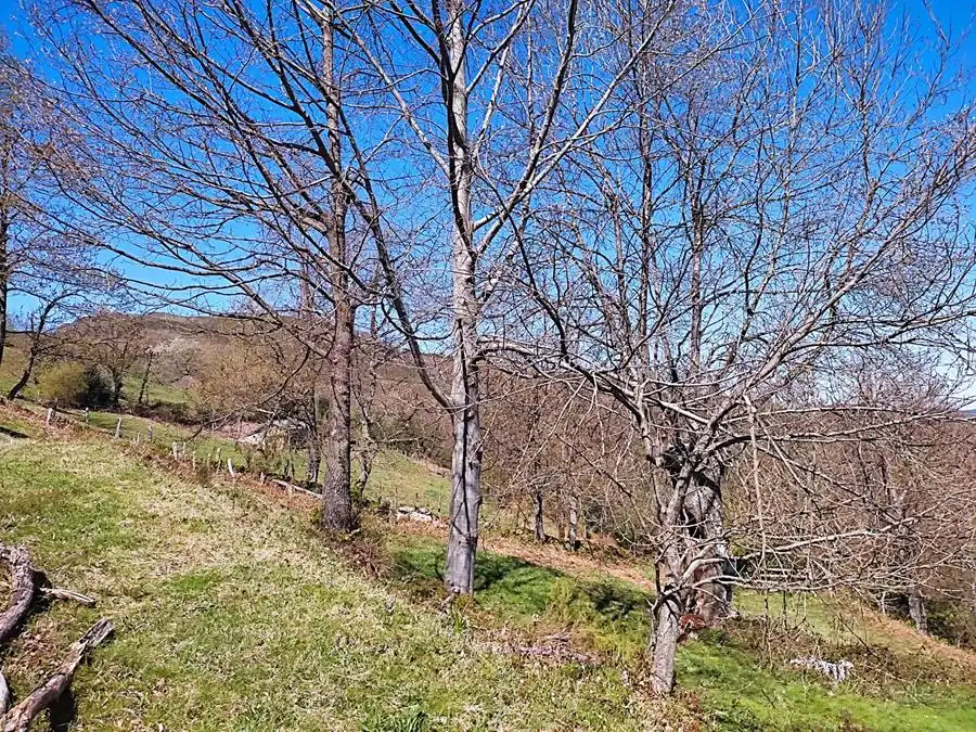 Finca rústica en venda en Aller amb Moblat