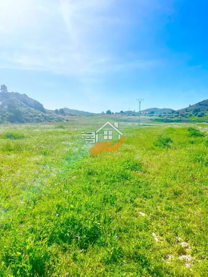 Lands and plots for sale in Pedanías Norte, imagen 30