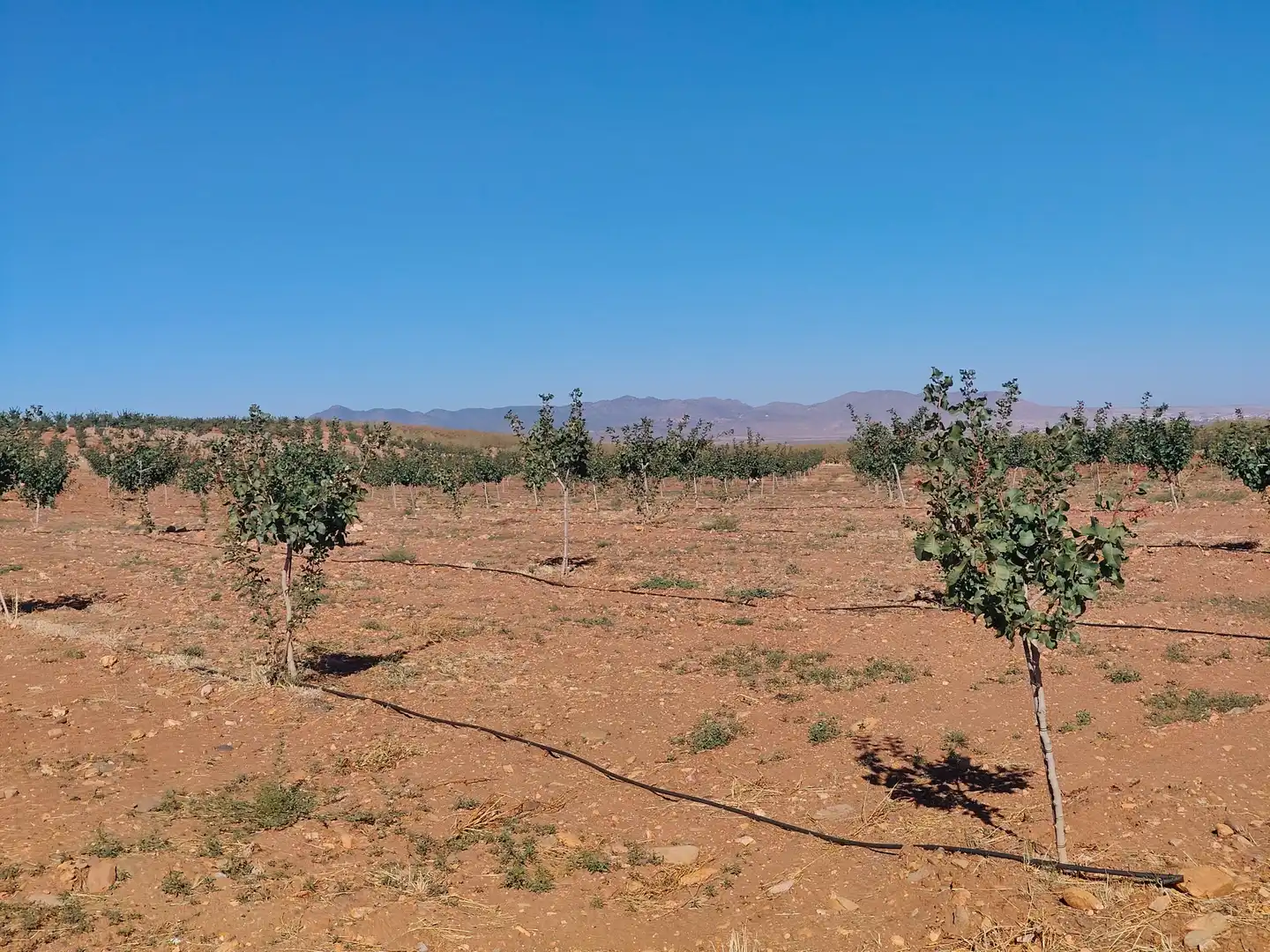 Terreno rustico in vendita a N/A, imagen 15