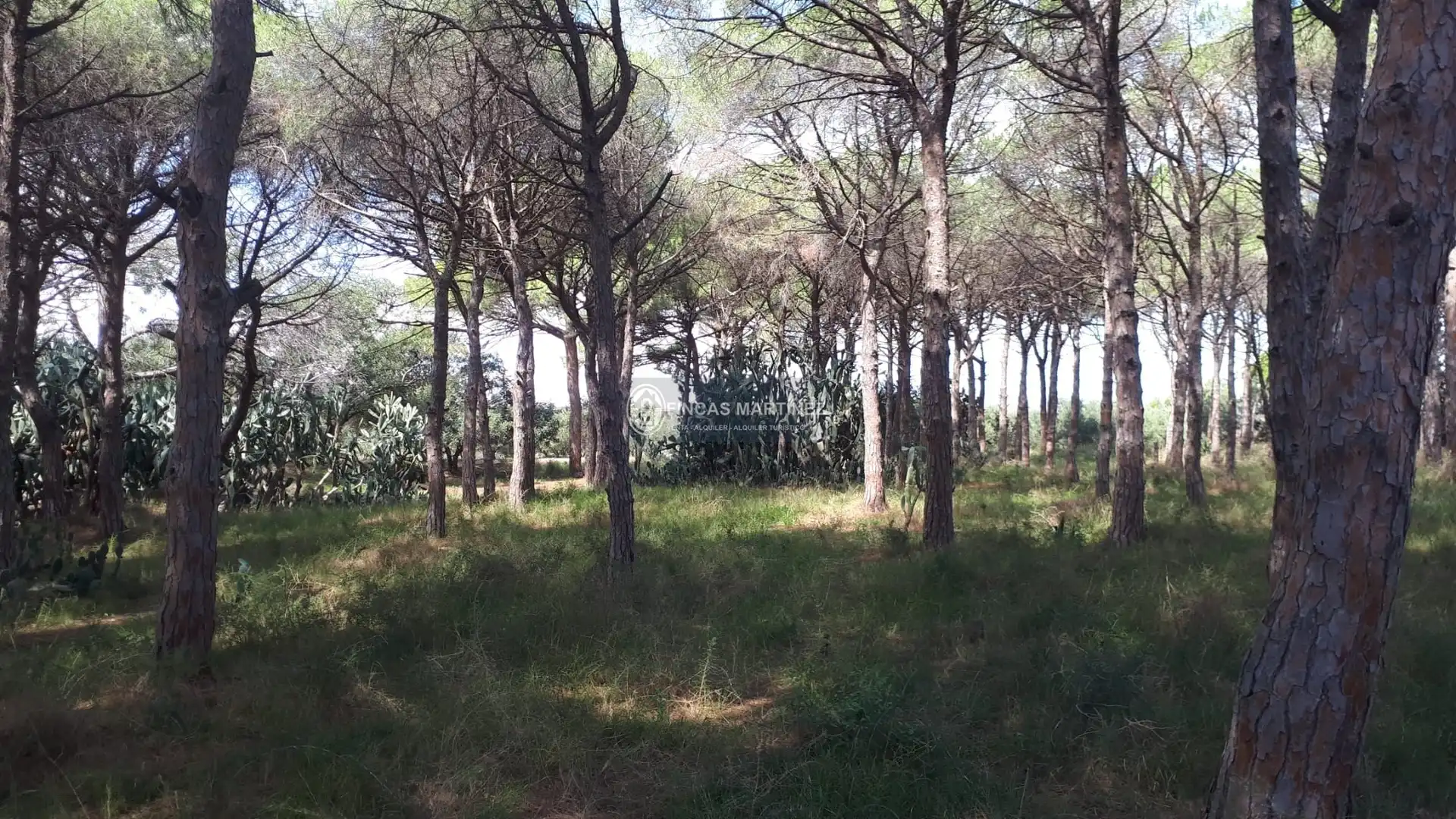 Terrenys i solars en venda a partida guardamá o Emprius  riera de Alforja con carretera del parque samá, imagen 4