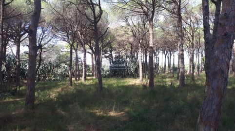 Foto 4 de Residencial en venta en Partida Guardamá O Emprius Riera de Alforja con C, Cambrils Port, Cambrils