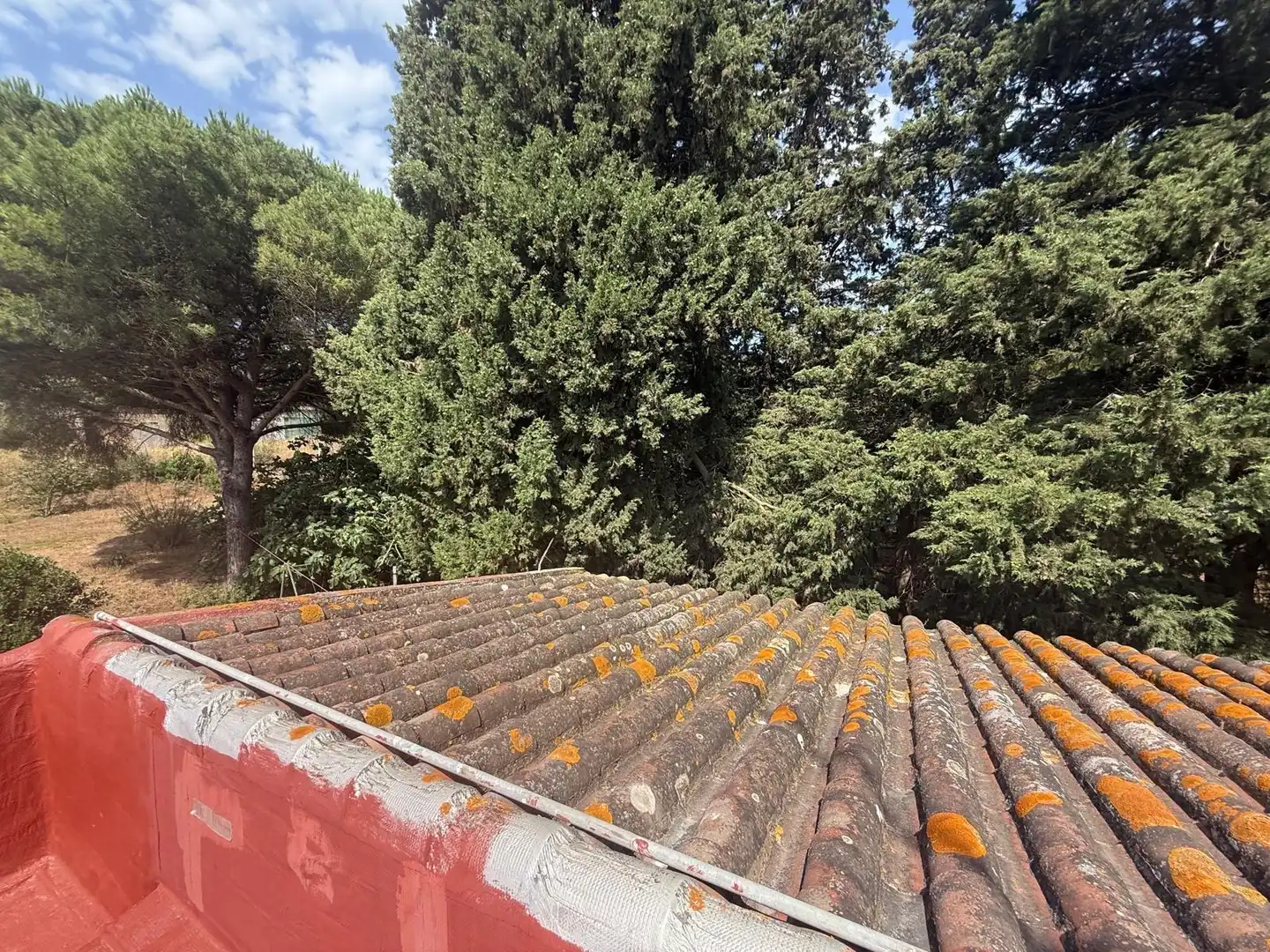 Jardí de Casa o xalet en venda en Vejer de la Frontera amb Aire condicionat, Calefacció i Jardí privat