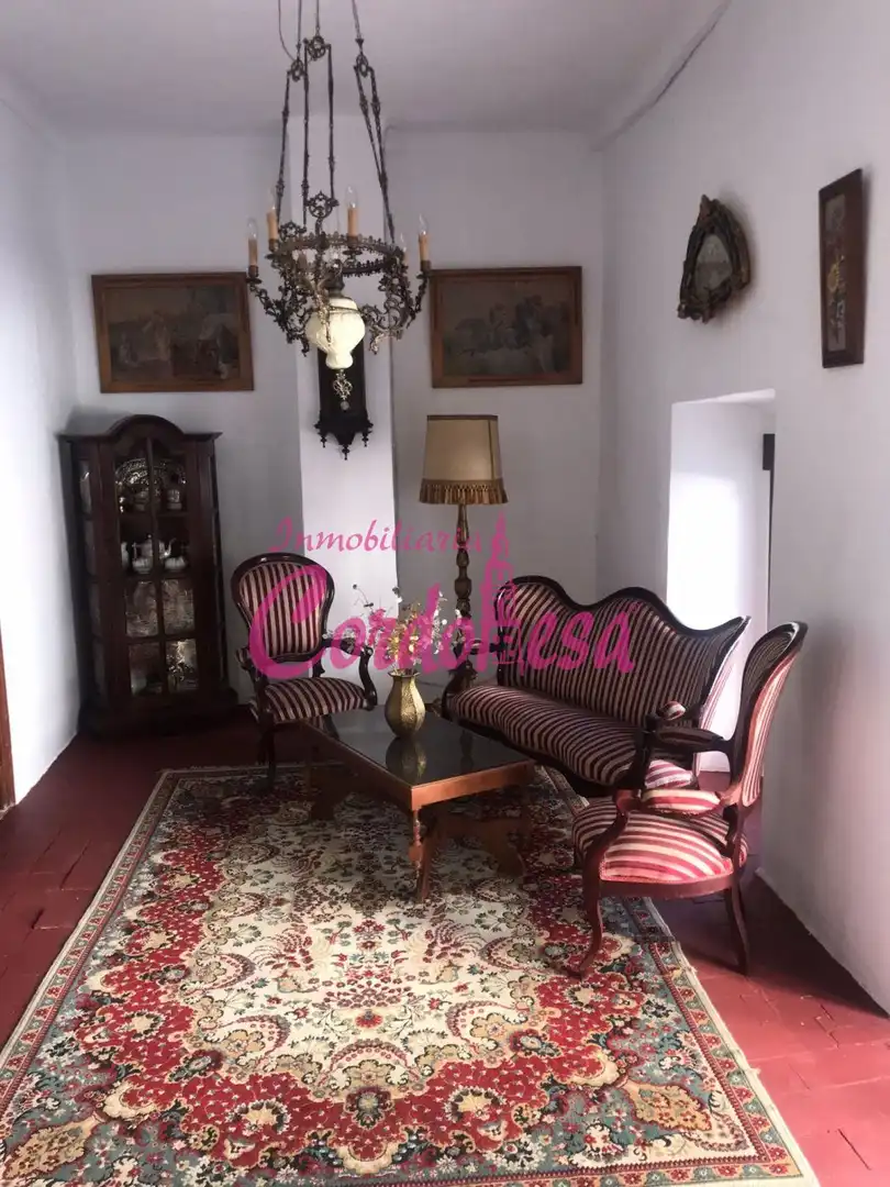 Sala de estar de Casa o chalet en venta en Villaviciosa de Córdoba con Terraza