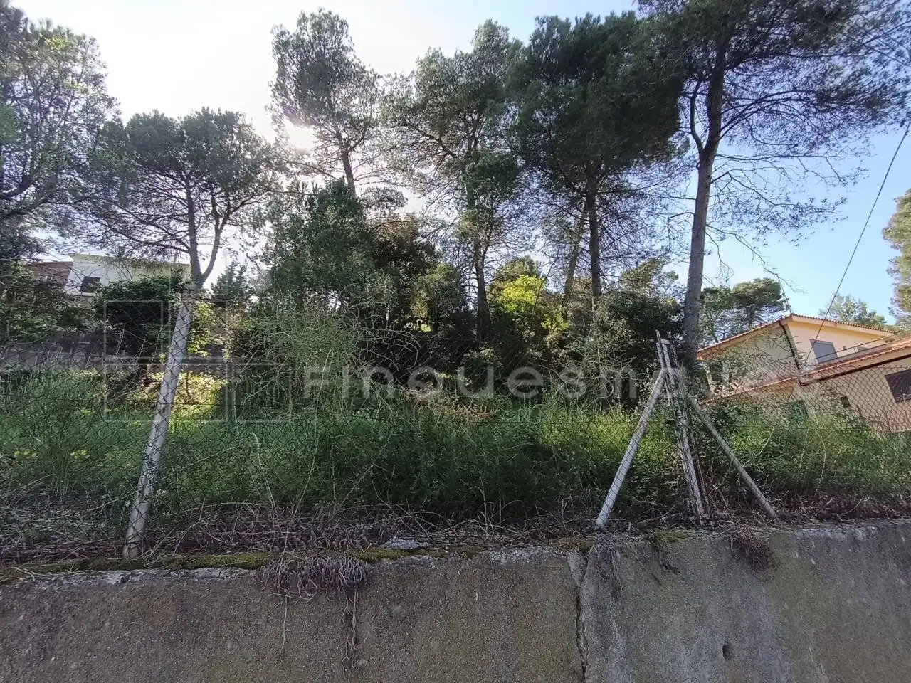Terreno residencial en venta en Calle Verge de Montserrat, imagen 6