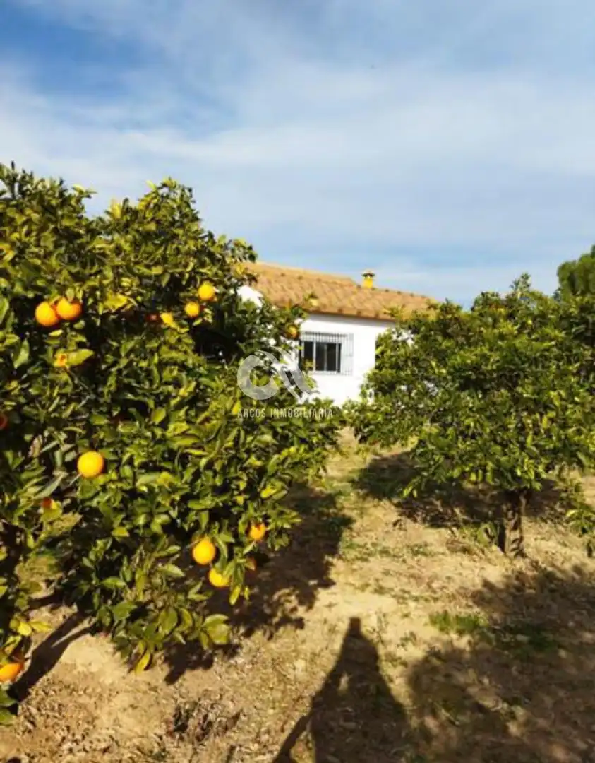 Chalet en venta en LA GORGOJA