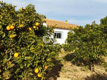 Chalet en venta en LA GORGOJA